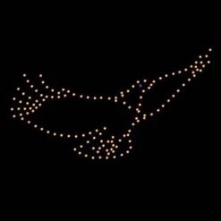 5' X 10' Flying Eagle, LED