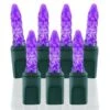 70 Light M5 Purple LED Christmas Lights -Twinkly Shop m5 pu