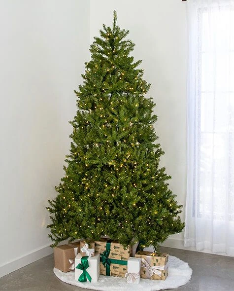 7.5' Indoor LED McKenzie Noble Fir Christmas Tree - Warm White 3 7.5' Indoor LED McKenzie Noble Fir Christmas Tree - Warm White