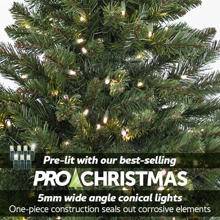 7.5' Indoor LED McKenzie Noble Fir Christmas Tree - Warm White 4 7.5' Indoor LED McKenzie Noble Fir Christmas Tree - Warm White - Image 2