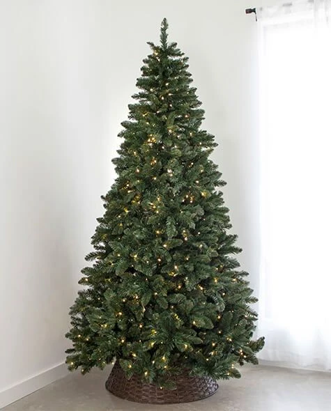 7.5' Indoor LED Oregon Grand Fir Christmas Tree - Warm White 3 7.5' Indoor LED Oregon Grand Fir Christmas Tree - Warm White