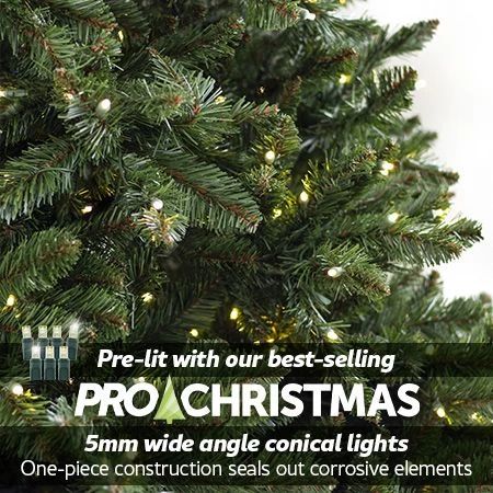 7.5' Indoor LED Oregon Grand Fir Christmas Tree - Warm White 4 7.5' Indoor LED Oregon Grand Fir Christmas Tree - Warm White - Image 2