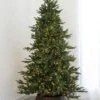 7.5' Indoor LED Mixed Foxtail Pine Christmas Tree - Warm White -Twinkly Shop t it 75 1217 ww 1