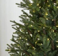 7.5' Indoor LED Upswept Norway Spruce Christmas Tree - Warm White -Twinkly Shop t it 75 1225 ww 3