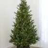 7.5' Indoor LED Upswept Norway Spruce Christmas Tree - Warm White
