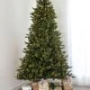 7.5' Indoor LED Mixed Douglas Fir Christmas Tree - Warm White -Twinkly Shop t it 75 1227 ww 1